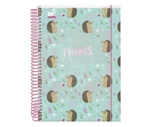 Agenda Colegial Ouriço