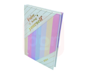 Agenda 2024 DAC Enjoy