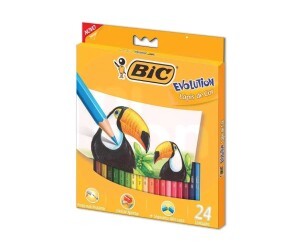 Lápis De Cor Evolution Com 24 Cores Sextavado