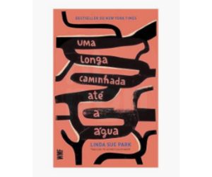 Livro Uma Longa Caminhada Até a Água