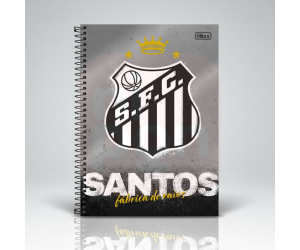 Caderno Universitário Santos 10 Matérias 160 Folhas - Tilibra