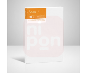 Tela para Pintura 20x30 - Souza